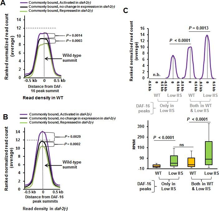 https://cdn.ncbi.nlm.nih.gov/pmc/blobs/f383/4747164/6beb3b849e3b/oncotarget-06-41418-g005.jpg