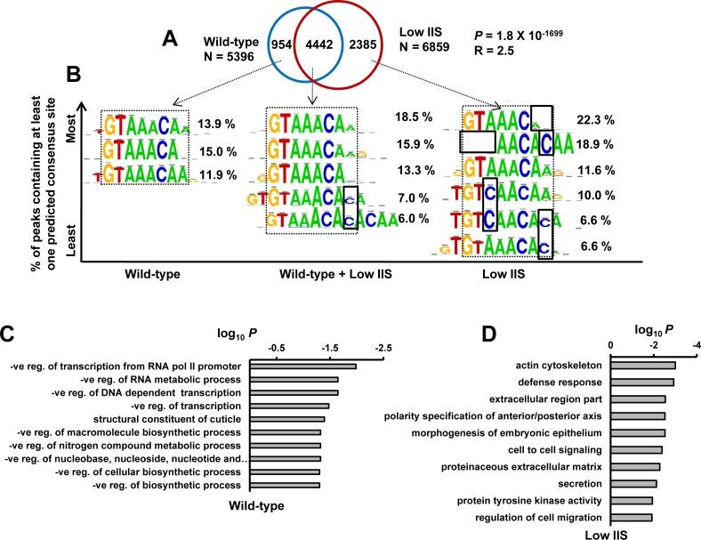 https://cdn.ncbi.nlm.nih.gov/pmc/blobs/f383/4747164/8fedb9a144fb/oncotarget-06-41418-g004.jpg
