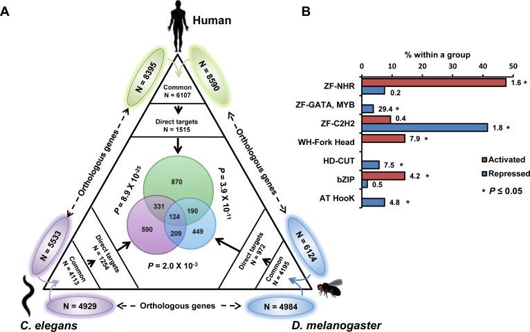 https://cdn.ncbi.nlm.nih.gov/pmc/blobs/f383/4747164/ac90e39755a1/oncotarget-06-41418-g007.jpg