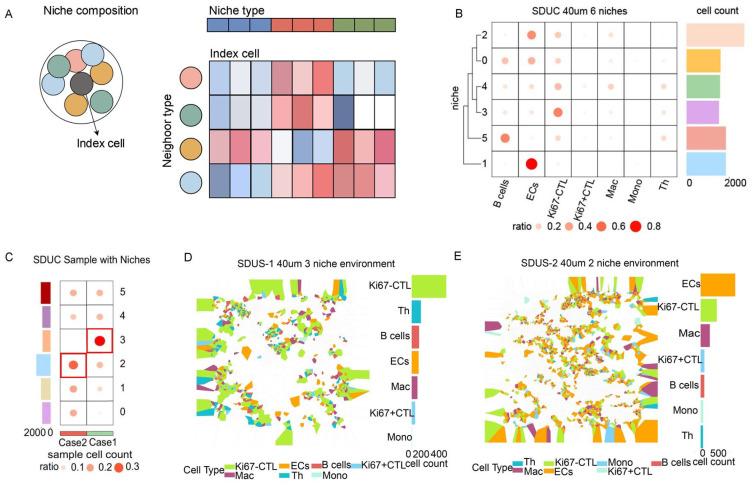 https://cdn.ncbi.nlm.nih.gov/pmc/blobs/f399/11352696/b2361d0ca45b/biomolecules-14-00987-g004.jpg