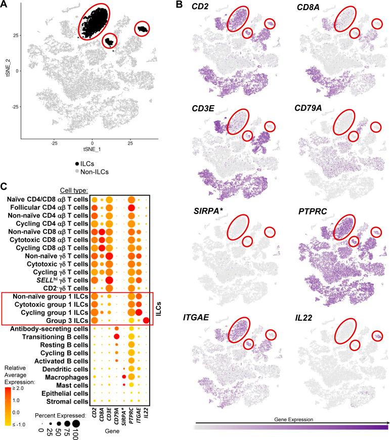 https://cdn.ncbi.nlm.nih.gov/pmc/blobs/f3ab/9396248/1d57eef2f1de/LSA-2022-01442_FigS25.jpg
