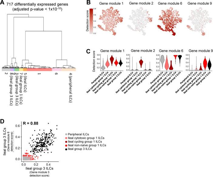 https://cdn.ncbi.nlm.nih.gov/pmc/blobs/f3ab/9396248/4edc43caa8cd/LSA-2022-01442_FigS28.jpg