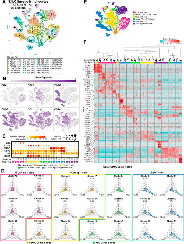https://cdn.ncbi.nlm.nih.gov/pmc/blobs/f3ab/9396248/59b827169080/LSA-2022-01442_FigS5.jpg