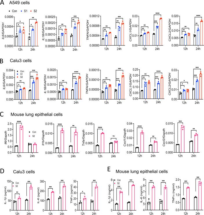 https://cdn.ncbi.nlm.nih.gov/pmc/blobs/f3b3/8709575/3b99df0ce299/elife-68563-fig2.jpg