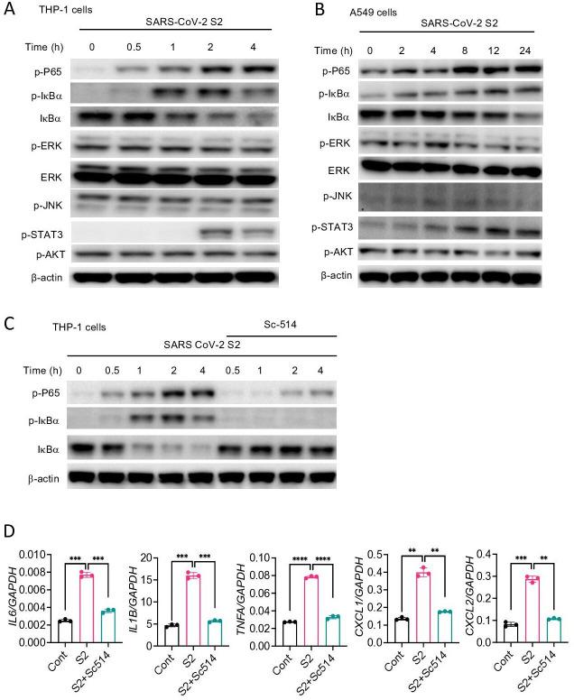 https://cdn.ncbi.nlm.nih.gov/pmc/blobs/f3b3/8709575/6bf0714c689f/elife-68563-fig4.jpg