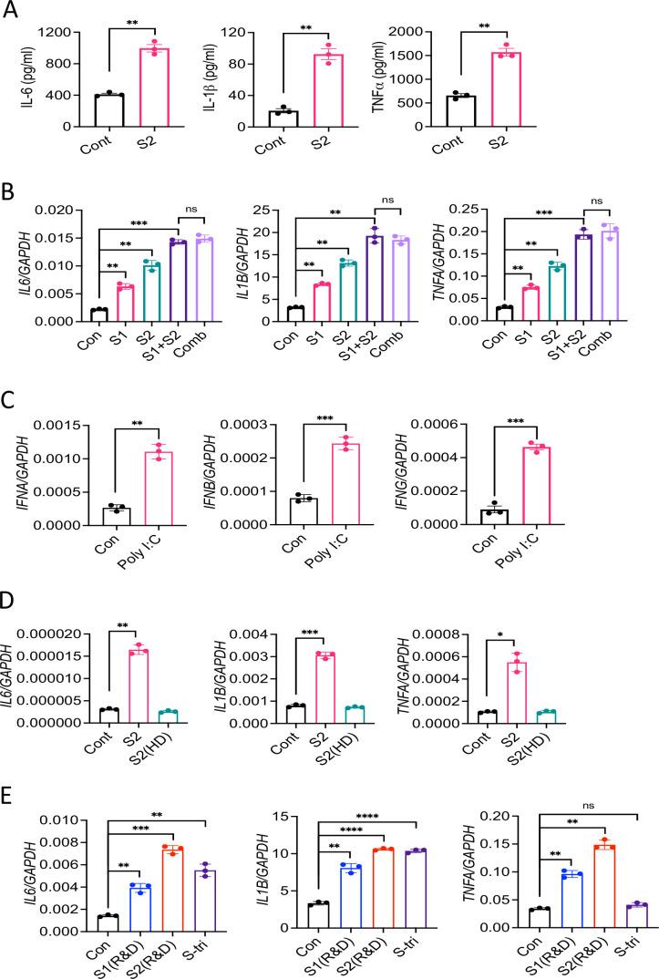 https://cdn.ncbi.nlm.nih.gov/pmc/blobs/f3b3/8709575/7bec77e7c407/elife-68563-fig1-figsupp1.jpg