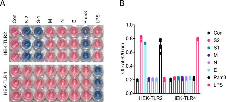 https://cdn.ncbi.nlm.nih.gov/pmc/blobs/f3b3/8709575/9afec5bc8e99/elife-68563-fig6-figsupp1.jpg
