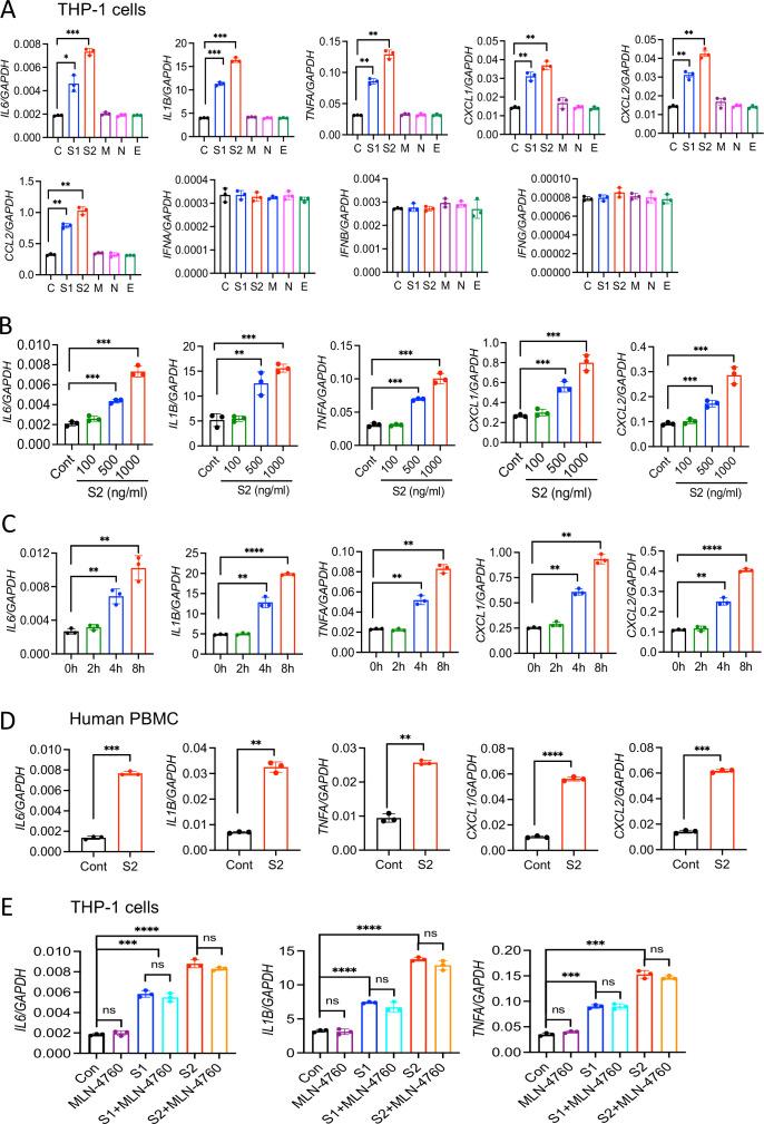 https://cdn.ncbi.nlm.nih.gov/pmc/blobs/f3b3/8709575/f8f48b19dfb0/elife-68563-fig1.jpg