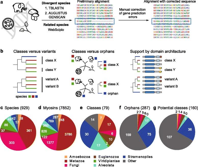 https://cdn.ncbi.nlm.nih.gov/pmc/blobs/f3ba/5583752/9b2c67423a05/12862_2017_1056_Fig1_HTML.jpg