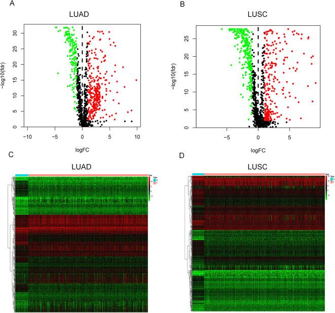 https://cdn.ncbi.nlm.nih.gov/pmc/blobs/f3c6/7711225/d9993e6e271f/10.1177_1533033820977504-fig2.jpg