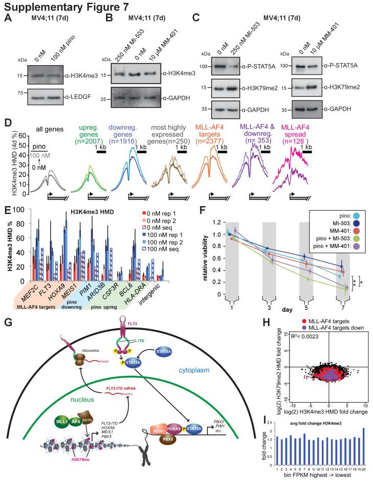 https://cdn.ncbi.nlm.nih.gov/pmc/blobs/f3cc/8315800/2e13496c88c6/elife-64960-fig7-figsupp1.jpg