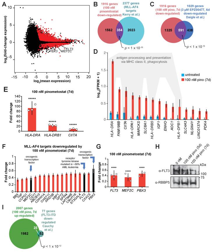 https://cdn.ncbi.nlm.nih.gov/pmc/blobs/f3cc/8315800/b9e19950457e/elife-64960-fig2.jpg
