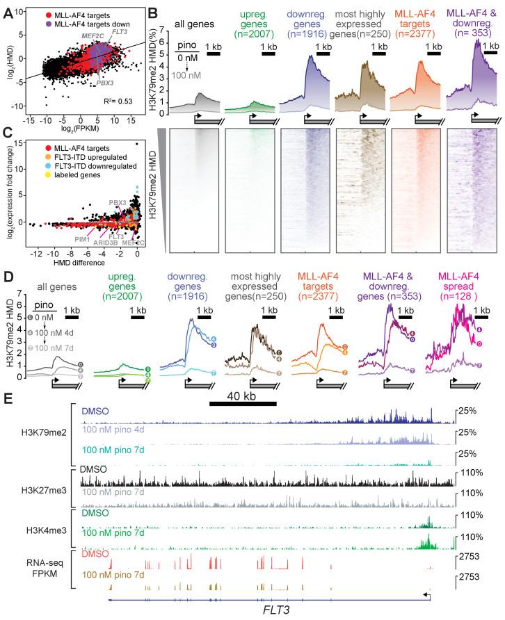https://cdn.ncbi.nlm.nih.gov/pmc/blobs/f3cc/8315800/ee700d4a6b2f/elife-64960-fig3.jpg