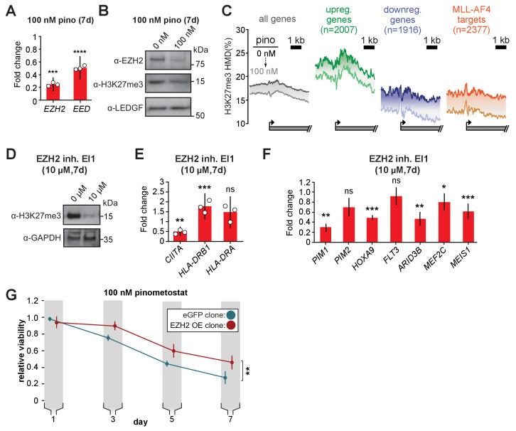 https://cdn.ncbi.nlm.nih.gov/pmc/blobs/f3cc/8315800/f689a20c2537/elife-64960-fig6.jpg