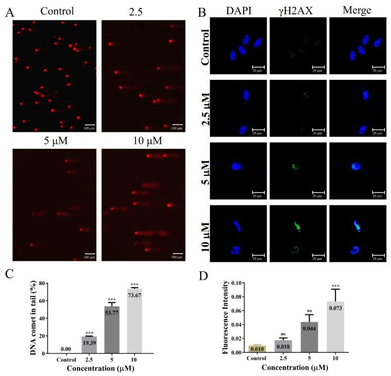 https://cdn.ncbi.nlm.nih.gov/pmc/blobs/f3da/9146995/41aa28c1cbea/molecules-27-03046-g006.jpg