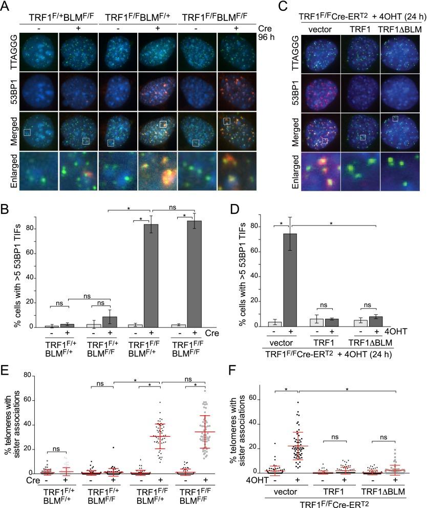 https://cdn.ncbi.nlm.nih.gov/pmc/blobs/f3dd/4233241/c1924824d334/2477fig3.jpg
