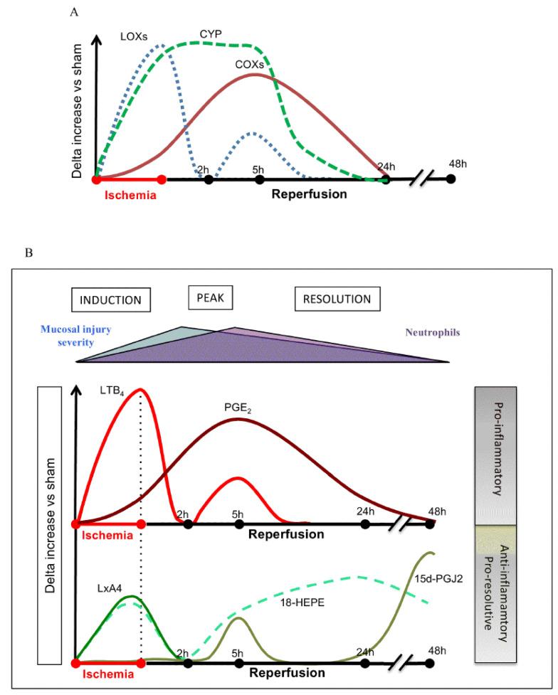 https://cdn.ncbi.nlm.nih.gov/pmc/blobs/f3dd/8699107/98f6b80b7625/biomolecules-11-01873-g009.jpg
