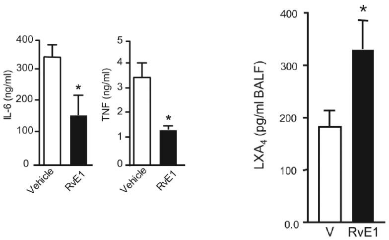 https://cdn.ncbi.nlm.nih.gov/pmc/blobs/f3dd/8699107/c7994280b7b3/biomolecules-11-01873-g002.jpg