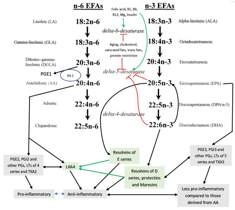 https://cdn.ncbi.nlm.nih.gov/pmc/blobs/f3dd/8699107/fa00065f0996/biomolecules-11-01873-g001.jpg