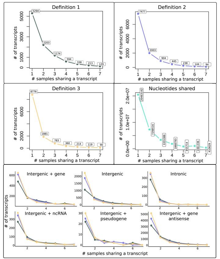 https://cdn.ncbi.nlm.nih.gov/pmc/blobs/f3e5/10783523/7a5c21aebbcc/gkad1079fig2.jpg
