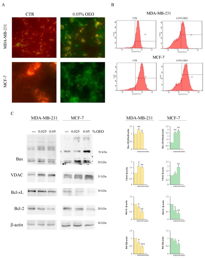 https://cdn.ncbi.nlm.nih.gov/pmc/blobs/f3f8/10706043/332d9c61f5bf/cells-12-02733-g003.jpg