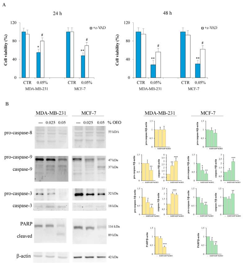 https://cdn.ncbi.nlm.nih.gov/pmc/blobs/f3f8/10706043/c0ef1780acac/cells-12-02733-g002.jpg