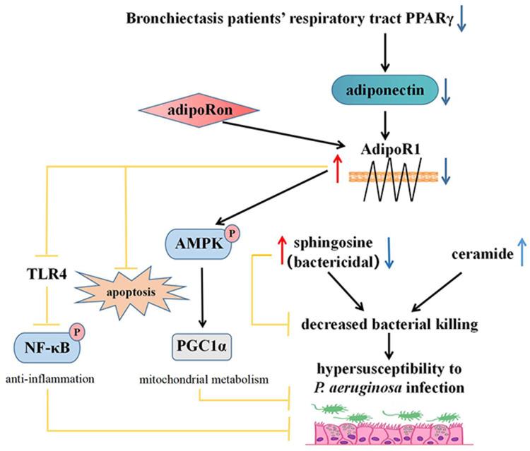 https://cdn.ncbi.nlm.nih.gov/pmc/blobs/f40d/11514707/3c0dcb78961a/JIR-17-7653-g0010.jpg