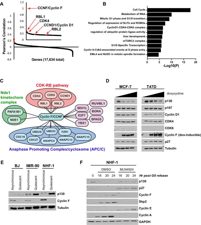 https://cdn.ncbi.nlm.nih.gov/pmc/blobs/f42d/8670743/00440e4f6001/elife-70691-fig1.jpg