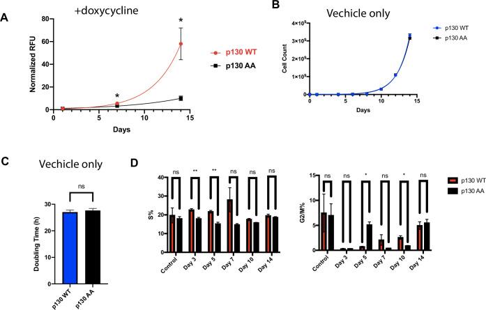 https://cdn.ncbi.nlm.nih.gov/pmc/blobs/f42d/8670743/4a44932a3cf1/elife-70691-fig6-figsupp1.jpg