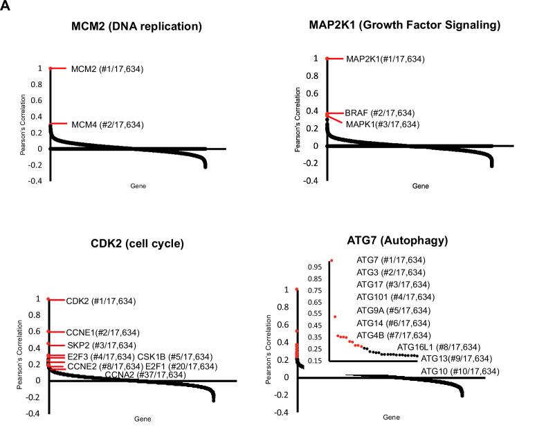 https://cdn.ncbi.nlm.nih.gov/pmc/blobs/f42d/8670743/8a94ddde4872/elife-70691-fig1-figsupp1.jpg
