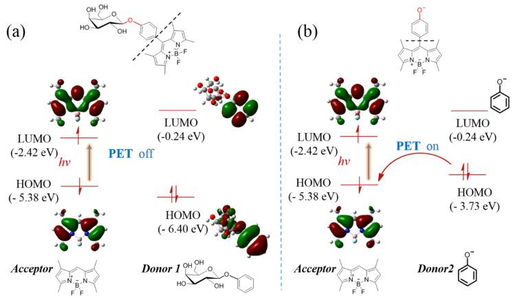 https://cdn.ncbi.nlm.nih.gov/pmc/blobs/f433/8512000/ae9223f00faf/molecules-26-06072-g003.jpg