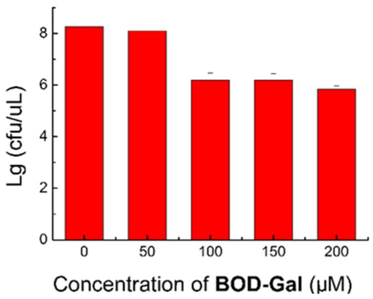 https://cdn.ncbi.nlm.nih.gov/pmc/blobs/f433/8512000/b9aca9f4c2a9/molecules-26-06072-g004.jpg