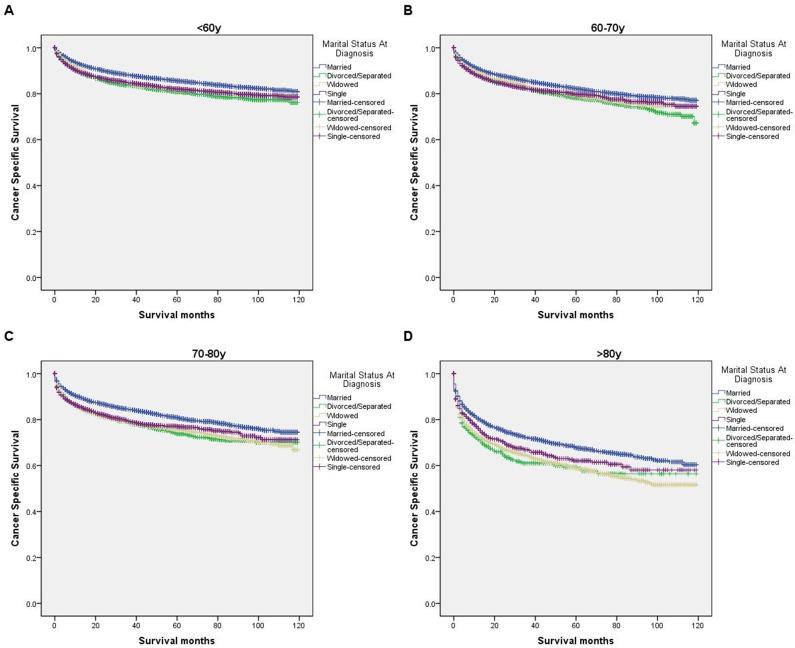https://cdn.ncbi.nlm.nih.gov/pmc/blobs/f446/5689674/35ee2a4c0a16/oncotarget-08-86157-g003.jpg