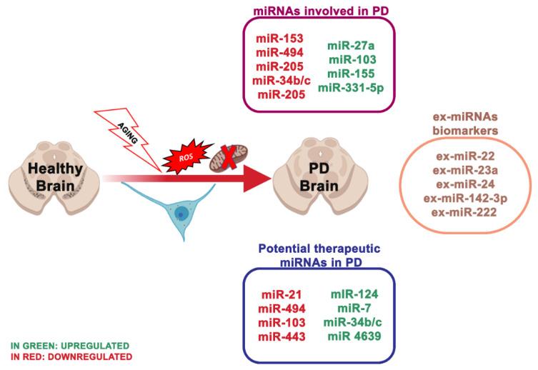 https://cdn.ncbi.nlm.nih.gov/pmc/blobs/f46e/7504116/080d4b87268b/ijms-21-05986-g002.jpg