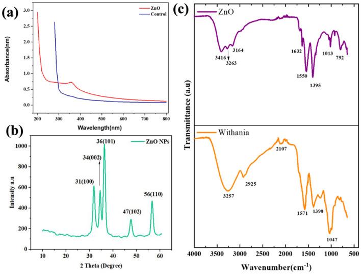 https://cdn.ncbi.nlm.nih.gov/pmc/blobs/f479/11161468/26862cee02aa/41598_2024_63987_Fig2_HTML.jpg