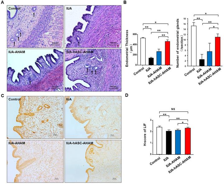 https://cdn.ncbi.nlm.nih.gov/pmc/blobs/f482/7784510/f62070501a93/10.1177_0963689720952055-fig3.jpg