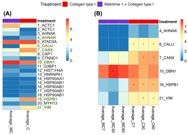 https://cdn.ncbi.nlm.nih.gov/pmc/blobs/f4ac/12347341/ea38dd0ad478/ijms-26-07480-g004.jpg