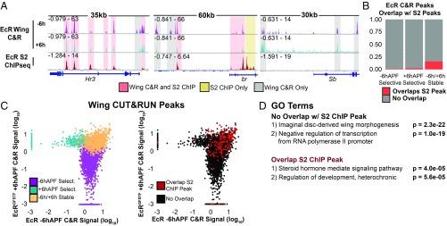 https://cdn.ncbi.nlm.nih.gov/pmc/blobs/f4b3/6525475/7d0b67eb9f8a/pnas.1900343116fig04.jpg