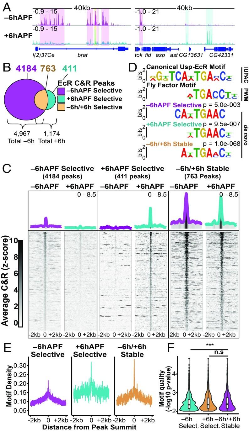 https://cdn.ncbi.nlm.nih.gov/pmc/blobs/f4b3/6525475/eefd8fd7f5c1/pnas.1900343116fig03.jpg