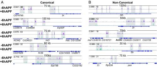 https://cdn.ncbi.nlm.nih.gov/pmc/blobs/f4b3/6525475/f95fa2b80df2/pnas.1900343116fig02.jpg