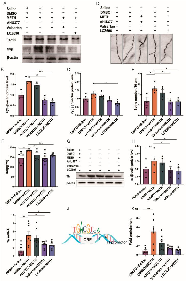 https://cdn.ncbi.nlm.nih.gov/pmc/blobs/f4b6/12297945/1e2d1f012907/pharmaceuticals-18-01016-g004.jpg