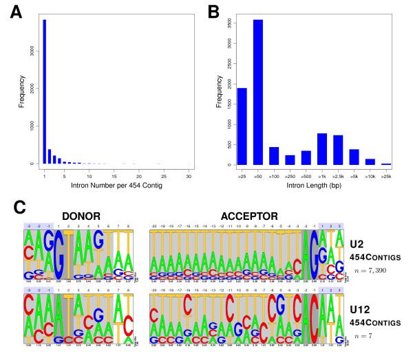 https://cdn.ncbi.nlm.nih.gov/pmc/blobs/f4cd/3022928/3cc1fa4ca202/1471-2164-11-731-4.jpg