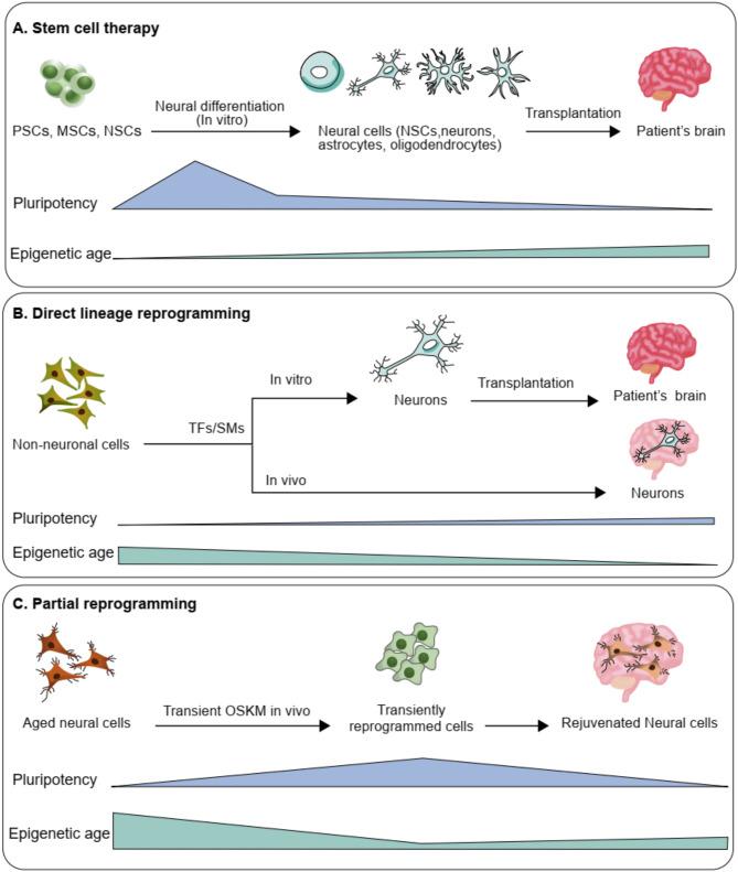 https://cdn.ncbi.nlm.nih.gov/pmc/blobs/f4d5/11974143/acbe3de6bcca/13287_2025_4285_Fig2_HTML.jpg