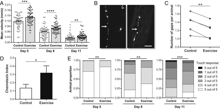 https://cdn.ncbi.nlm.nih.gov/pmc/blobs/f4d5/6876156/729b53464beb/pnas.1909210116fig06.jpg
