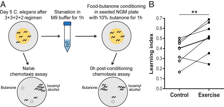 https://cdn.ncbi.nlm.nih.gov/pmc/blobs/f4d5/6876156/c894ec0e1983/pnas.1909210116fig05.jpg