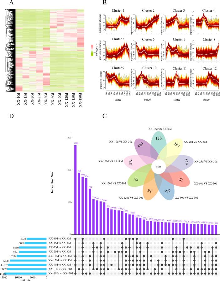 https://cdn.ncbi.nlm.nih.gov/pmc/blobs/f4d6/11380785/744e9ffa009e/13293_2024_643_Fig5_HTML.jpg