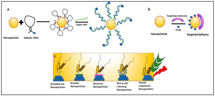 https://cdn.ncbi.nlm.nih.gov/pmc/blobs/f4ee/8869428/ba87918ab0f1/bioengineering-09-00051-g003.jpg