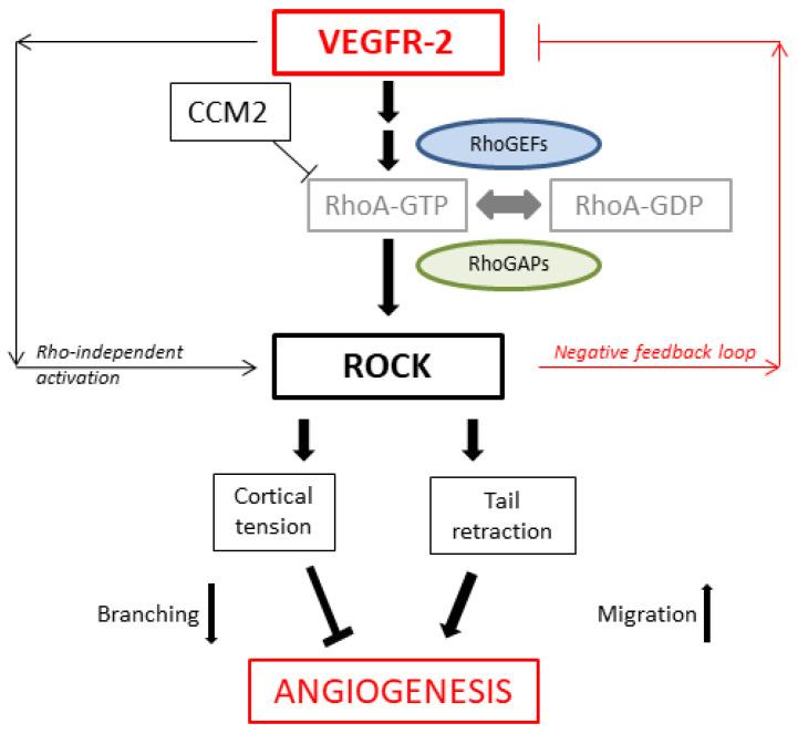 https://cdn.ncbi.nlm.nih.gov/pmc/blobs/f4f0/9962381/34ab70f42d50/toxics-11-00134-g012.jpg