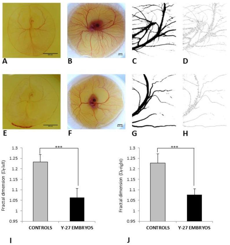 https://cdn.ncbi.nlm.nih.gov/pmc/blobs/f4f0/9962381/f5c33e482ab0/toxics-11-00134-g006.jpg