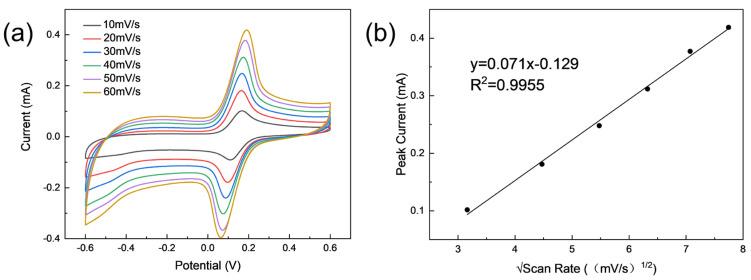 https://cdn.ncbi.nlm.nih.gov/pmc/blobs/f4f3/11014152/4a986bfc9770/sensors-24-02043-g005.jpg
